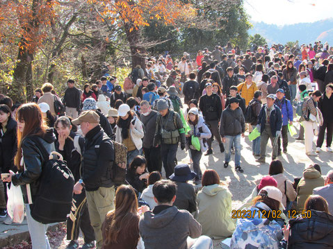 ゴミ拾い：人混みの高尾山頂で緑色のボランティア袋を持って