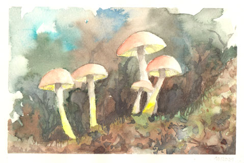 Aquarellstudie "Pilze im Herbstlaub": fünf leuchtende Pilze in trübem Herbstlaub 