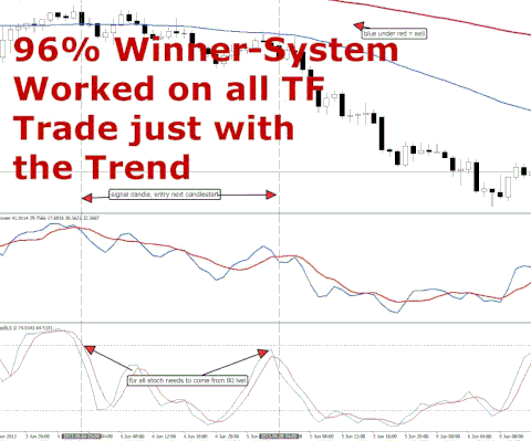 Winner Trading System