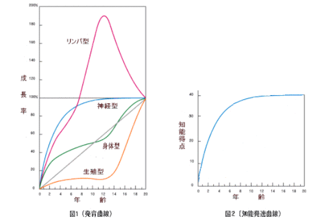 知能神経系統は、生きる力に直結します。