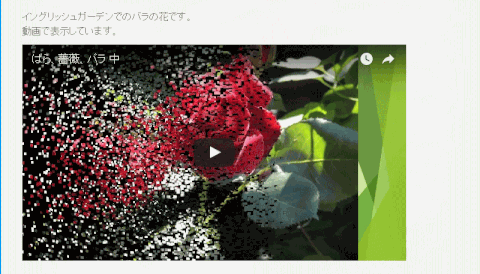 jdgD48:動画表示サイズや位置の調整