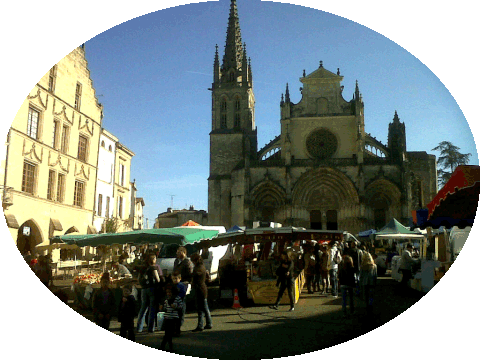 BAZAS (33), à l'intersection du Sauternais, des Landes de Gascogne et du Reolais, terre d'élevage.