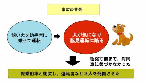 犬でわき見事故