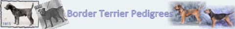 Border Terrier Datenbank