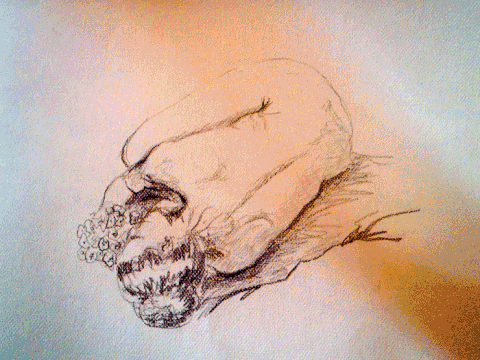 Printemps - (mine de graphite) 