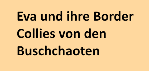 Eva Busch und ihre Zucht - hier lebt GV be my wave - Joni