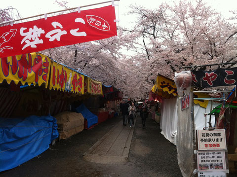 桜が満開の平野神社、午前中は人がまばらでした