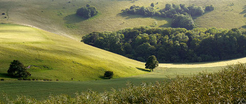 Sussex in UK - photo Flickr grimbo87