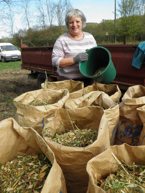Production de BRF (Bois Raméal Fragmenté) avec suivi expérimental dans 15 jardins particuliers
