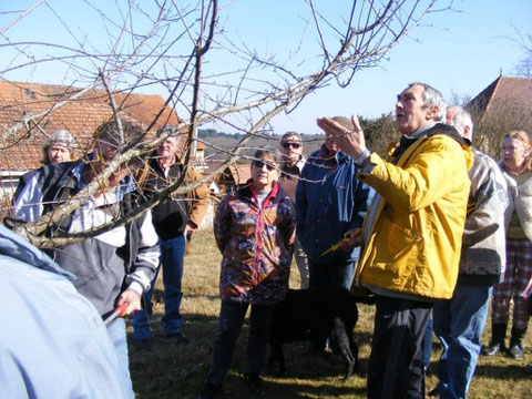 Atelier taille des arbres fruitiers