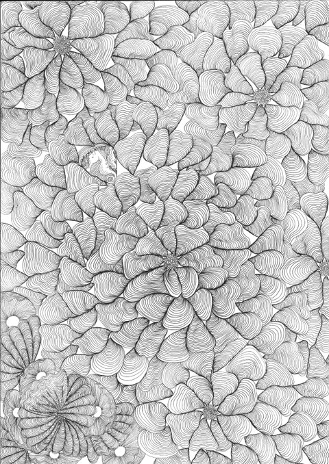 Muschelblumen