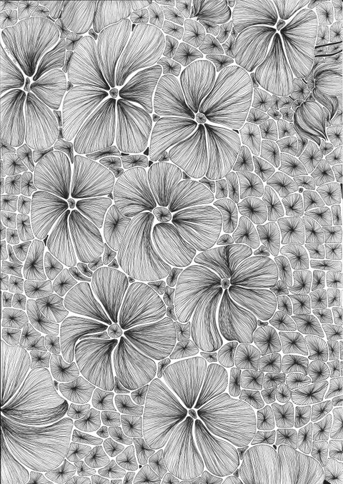 Meer der Blumen