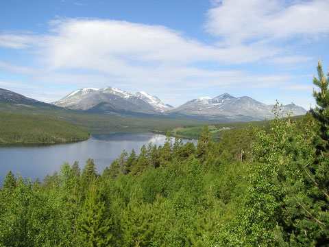 Nationalpark Rondane - da waren wir auch. Echt sehenswert! Föhren und Birken in endloser Weite.