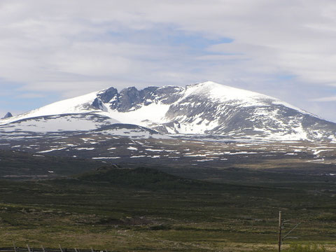 ... und im Dovrefjell Nationalpark. Die Moschusochsen hatten sich leider versteckt.