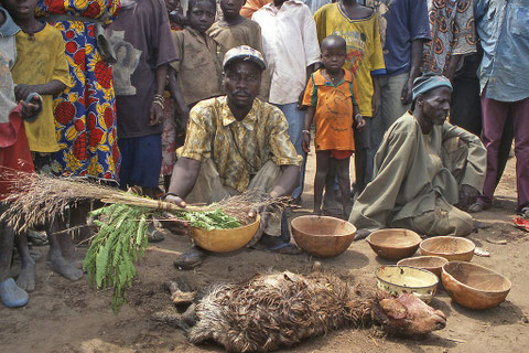 Résultat de recherche d'images pour "images de sacrifices d'animaux en afrique"