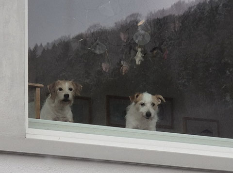 ja da gibt's viel zu sehen in diesem Monat...