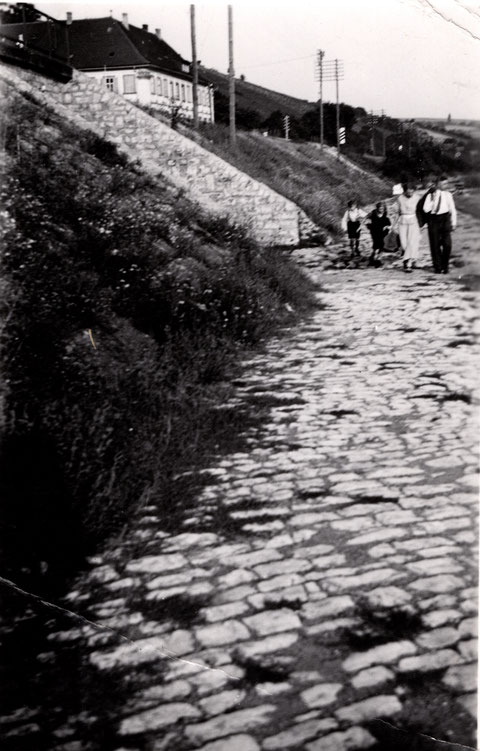 Weg am Main von Mainberg kommend 1952