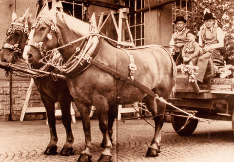 1949 - Rappengespann "Fanni und Mucki" - mit Bierführer Johann Schneider und Beifahrer Franz Kraus, Junge Kurt Handschuh 