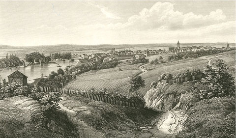 Schweinfurt von der Peterstirn aus gesehen im Jahre 1847