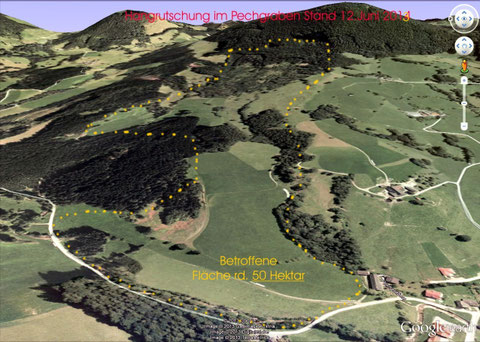 Auf einer Länge von ca. 2.000 Meter und bis zu 800 Meter breit bewegen sich rd. 50 Hektar Rutschfläche nach unten in den Pechgraben.