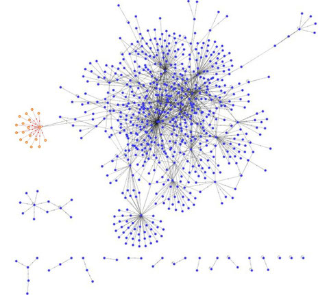 The transcriptional network of Escherichia coli, as assembled in Camas et al. (2008). One of the network motifs is enhanced in red; this motif is an example of SIM (Single Input Module), in which only one single protein controls many others.