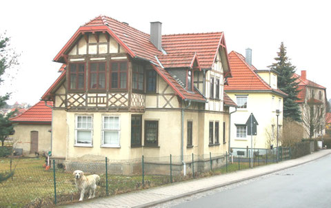 Heinrich-Mann-Straße 18, Golden Retriever +, Aufnahme März 2012