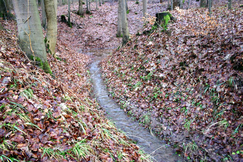 Da es eher ein seltener Fall ist, dokumentieren wir eine Schüttung - Februar 2013