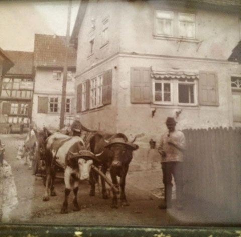 Ortskern Steinbach - Sammlung Martina Oschmann