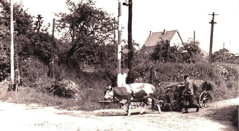 Richard Danz, Vater von Elfriede Mosebach am Bahnübergang Bahnhof Liebenstein - Archiv Elfriede Mosebach