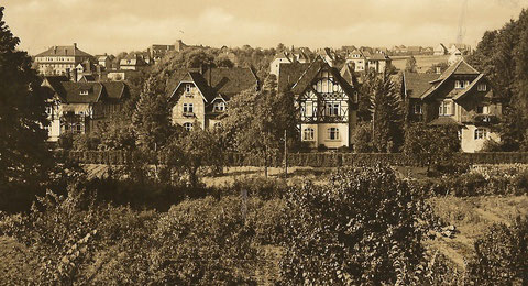 Villen in der Parkstraße - von links Leopold, Gertrud, Pfeifer & Belz 