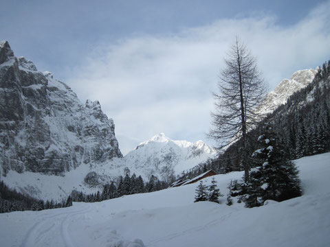 Blick von der Valtentinalm auf das Valentintörl