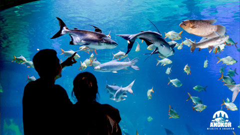 Angkor Wildlife & Aquarium｜シェムリアップ水族館