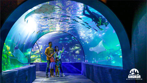 Angkor Wildlife & Aquarium｜シェムリアップ水族館