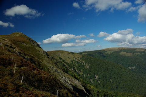 Rothenbachkopf