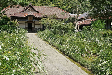 実性院　萩