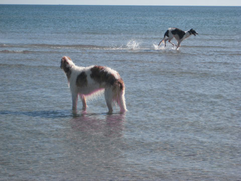 Sieh mal !!! Iveta kann auf dem Wasser laufen !!