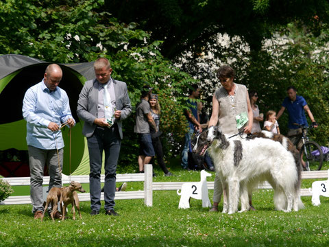 Paarklasse mit Orpheus & Natascha Platz 2