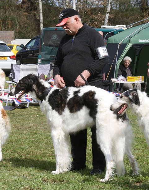 Imperiatriza bekommt ein SG  ( Fotos Copyright European Borzoi)