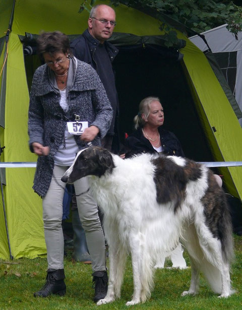 Orpheus offene Klasse V