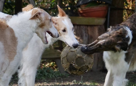 Wer sagt denn eigentlich, dass kein Fußball mehr "übertragen" wird !