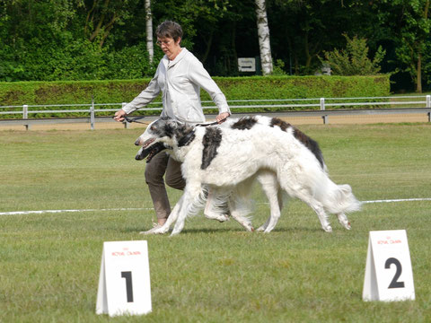 Natascha & Orpheus