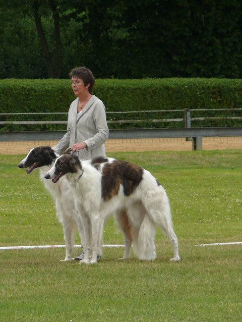 Iveta & Orpheus in der Paarklasse auf Platz 1