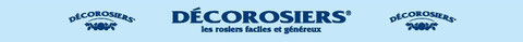 production Pépinières en conteneurs