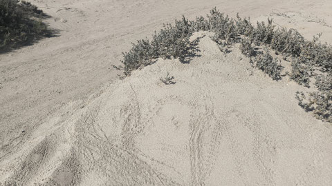Deine Spuren im Sand...