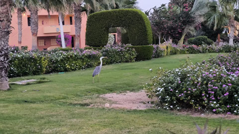 Und der Große im Garten