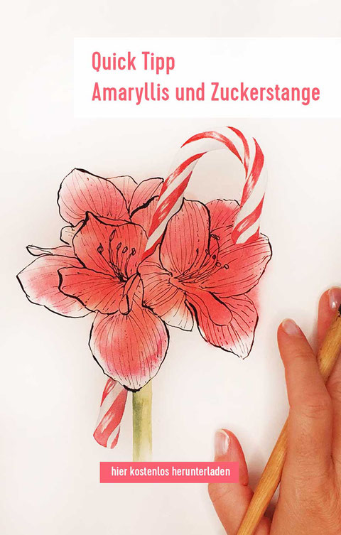amaryllis, malen lernen, Blumenaquarell, Blumen malen, Aquarell malen lernen, Aquarellblumen, Weihnachtsaquarell,