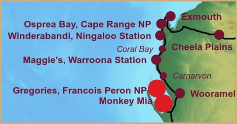 Roadtrip Australia, François Peron Nationalpark, Monkey Mia, Gregories, Cape Peron, Skipjack Point