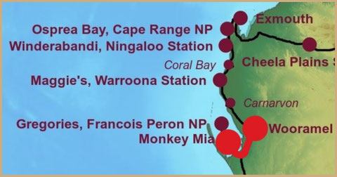Roadtrip Australia, Shark Bay, Gladstone Scenic Lookout - Shark Bay - Shell Beach, Eagle Bluff Lookout, Denham, Monkey Mia