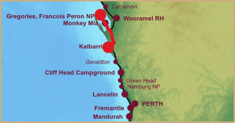 Roadtrip Australia, Shell Beach, Shark Bay, Kalbarri, Hawks Head