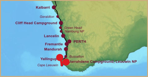 Roadtrip Australia, Hamelin Bay, Augusta, Cape Leeuwin, Injirup Spa
